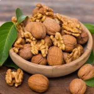 خرید نهال گردو هارتلی