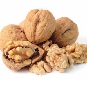 خرید نهال گردو تویسرکان