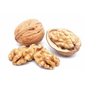 خرید نهال گردو فرنور