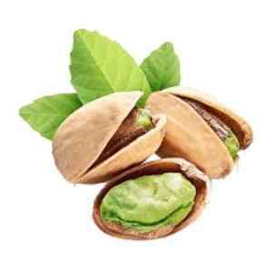 خرید نهال پسته کله قوچی