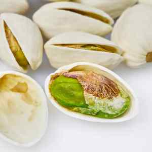 خرید نهال پسته اسرائیلی