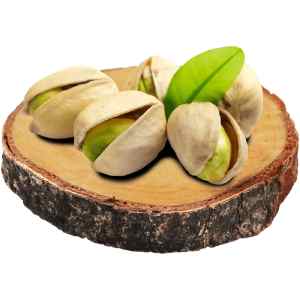 خرید نهال پسته بادامی