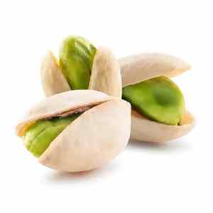 خرید نهال پسته کوهی (بنه)
