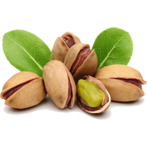 خرید نهال پسته شاهی
