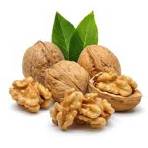 خرید نهال گردو خوشه ای