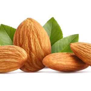 خرید نهال بادام کاغذی