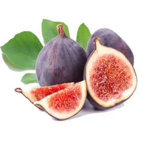 خرید نهال انجیر کرمان