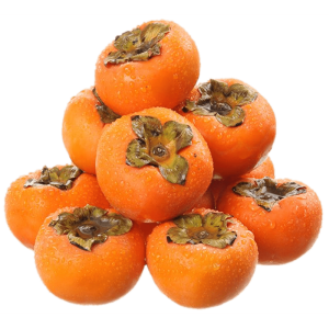خرید نهال خرمالو ژاپنی