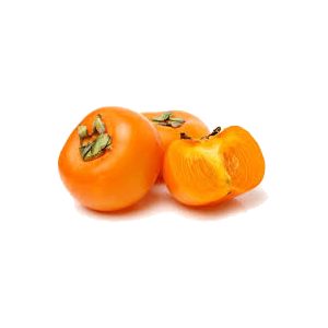 خرید نهال خرمالو غیرقابض