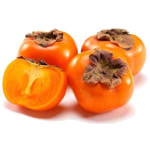 خرید نهال خرمالو عسگری