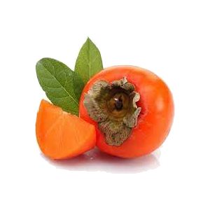 خرید نهال خرمالو دماوند