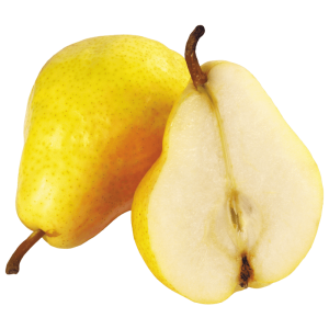 خرید نهال گلابی کوهن