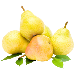 خرید نهال گلابی کاشمر