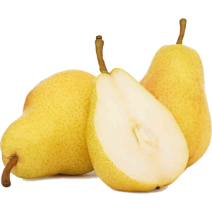 خرید نهال گلابی کشمشی
