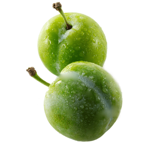خرید نهال گوجه سبز دماوند