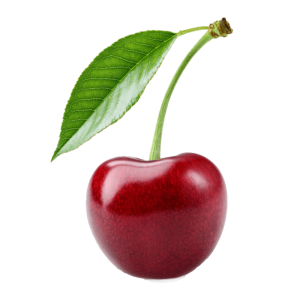 خرید نهال گیلاس شیرین