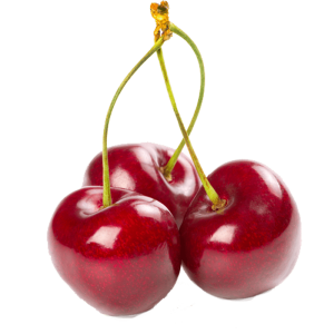 خرید نهال گیلاس مشهدی