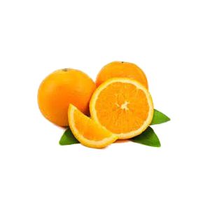 خرید نهال پرتقال شیرین