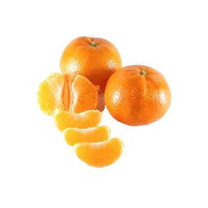 خرید نهال نارنگی یافا