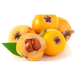 خرید نهال ازگیل گلخانه‌ای