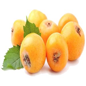 خرید نهال ازگیل زرد