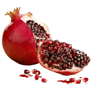 خرید نهال انار جنگلی