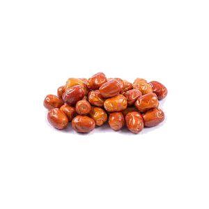 خرید نهال سنجد معمولی