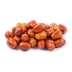خرید نهال سنجد دیم