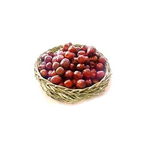 خرید نهال عناب چینی