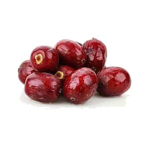 خرید نهال عناب شیرین